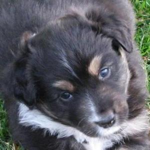 Buster