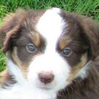 Riley