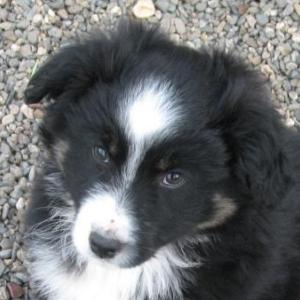 Buster