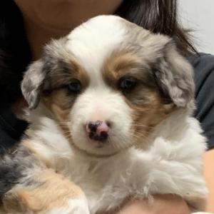 EllieMae