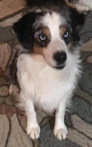 Chance