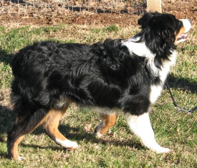 Max