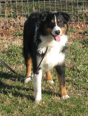 Max