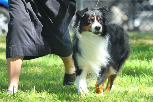 Max
